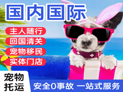 百色航空物流国际宠物托运 【国